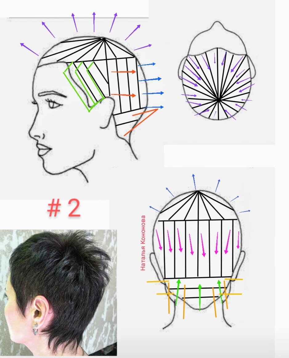 Короткая схема. Пикси стрижка схема стрижки. Схема стрижки на короткие волосы. Базовые женские стрижки схемы. Базовая короткая женская стрижка схема.