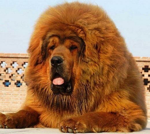 Фото из интернета