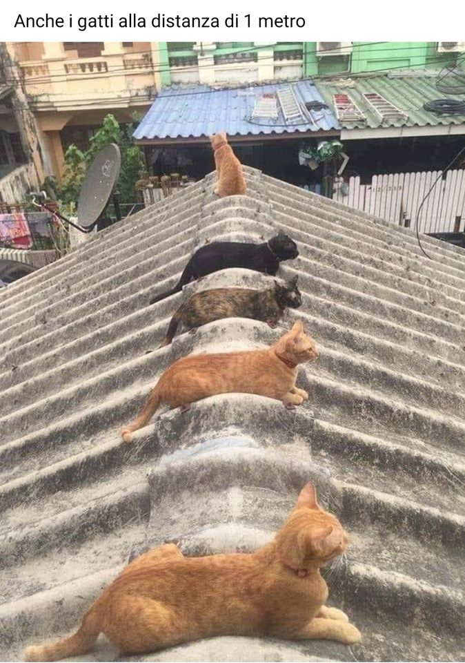 из итальянских соцсетей