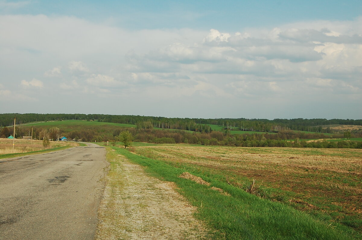 По дороге из Погара в Трубчевск