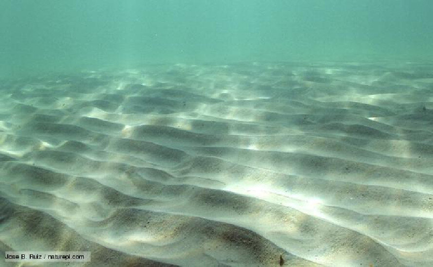 Белое море под водой. Песок на дне моря. Песок под водой. Морской песок под водой. Дно.