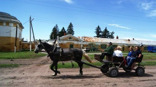 Фото с экскурсии "Орловские рысаки" (Хреновской конезавод)