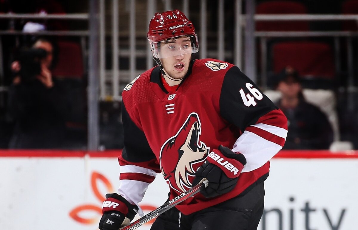 Илья Любушкин, Аризона