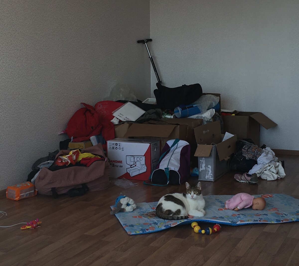 Вещей так мало, потому что переезжали из съемной квартиры в свою. Кошку не забыли!