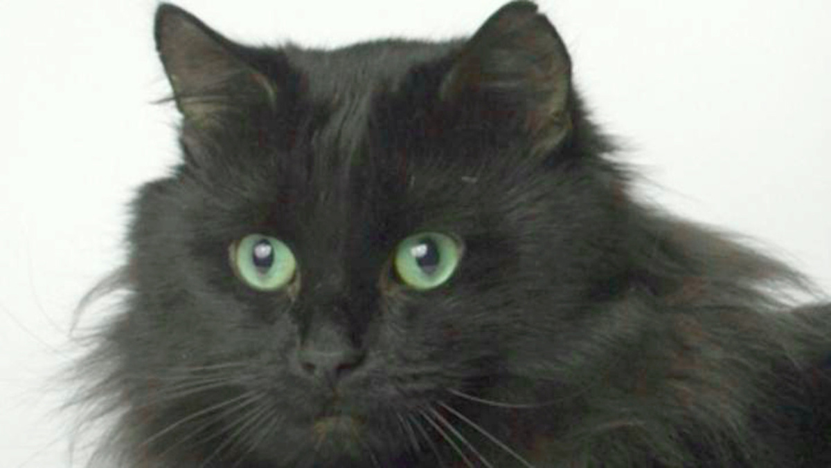 Мишка не привык болеть. И испугался