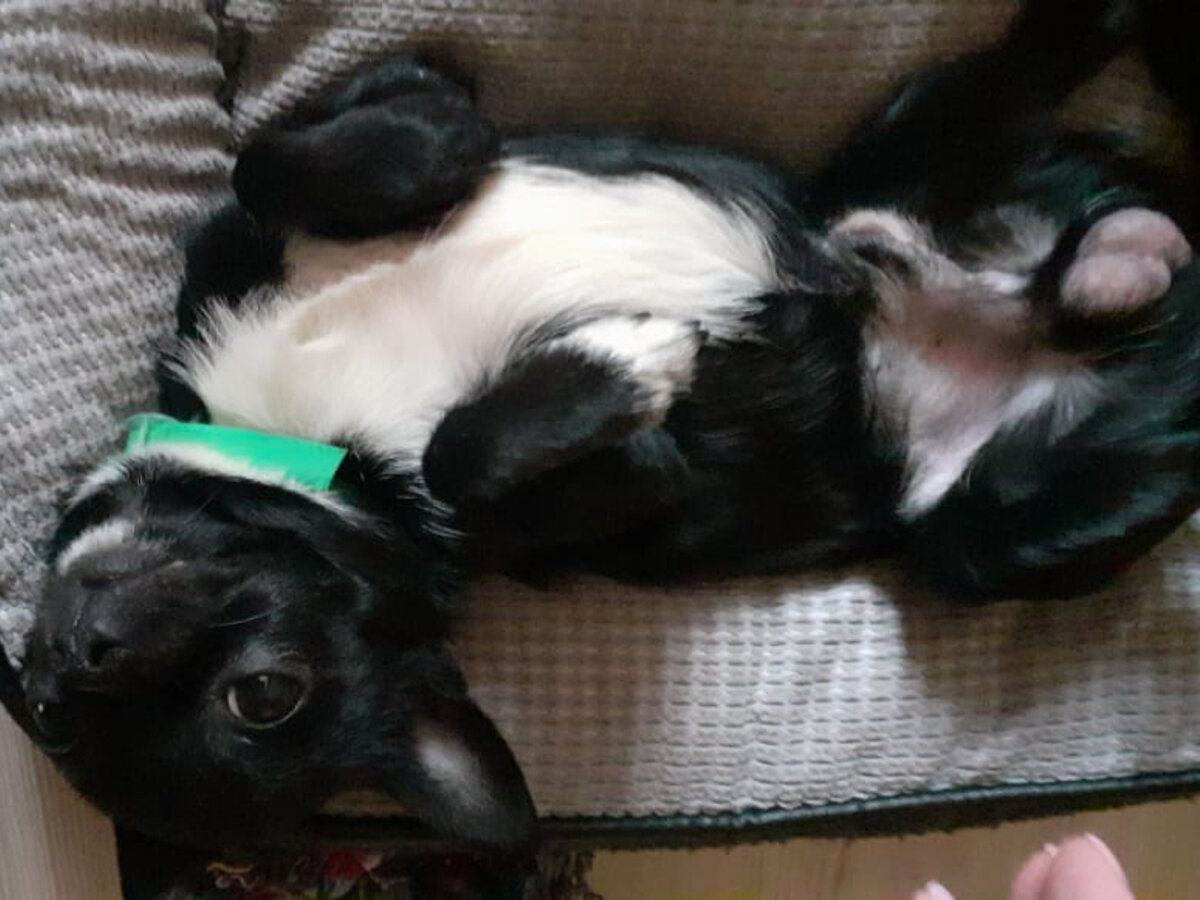 Кирюша во всей своей красе 