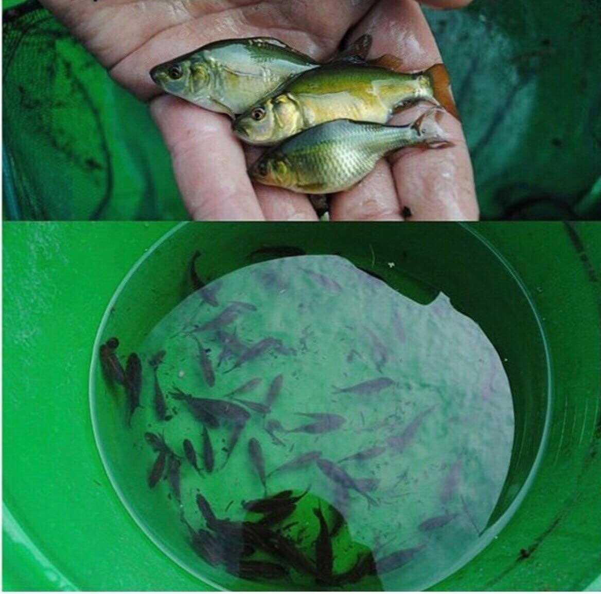 Та самая фотография 