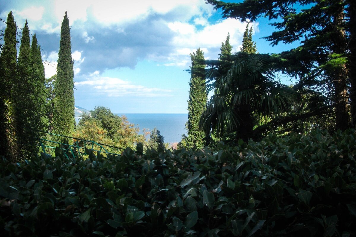 Ливадийский парк. В прогалах между деревьями- море...Рай на земле! 