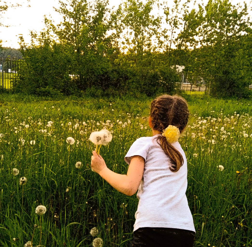 Фото автора.