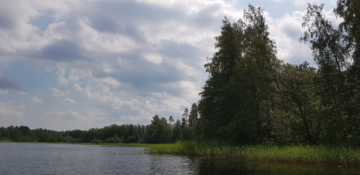 тиурула кильпола. мыс черемуховый. мыс черемуховый приозерский район. мыс черемуховый. мыс черемуховый.