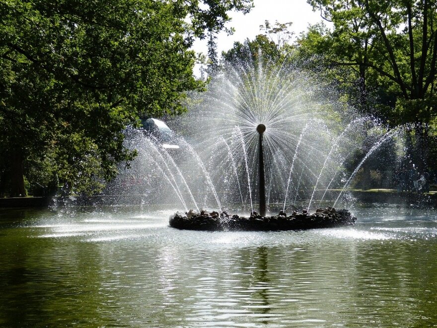 Фото: pixabay.com 