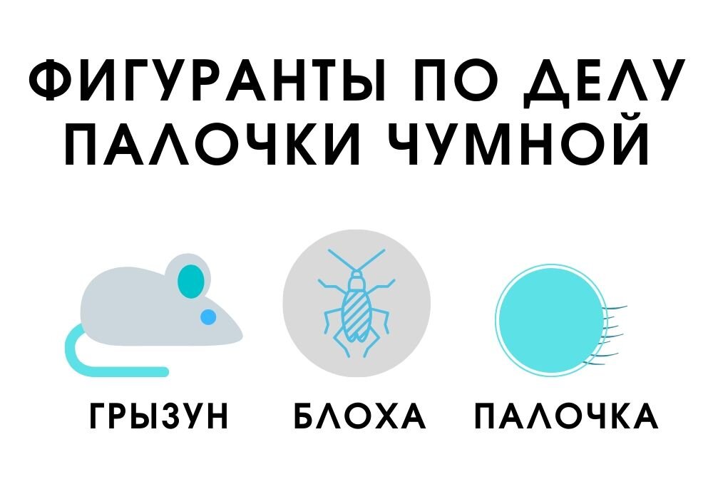 Зачастую инфекция передается человеку от грызунов.