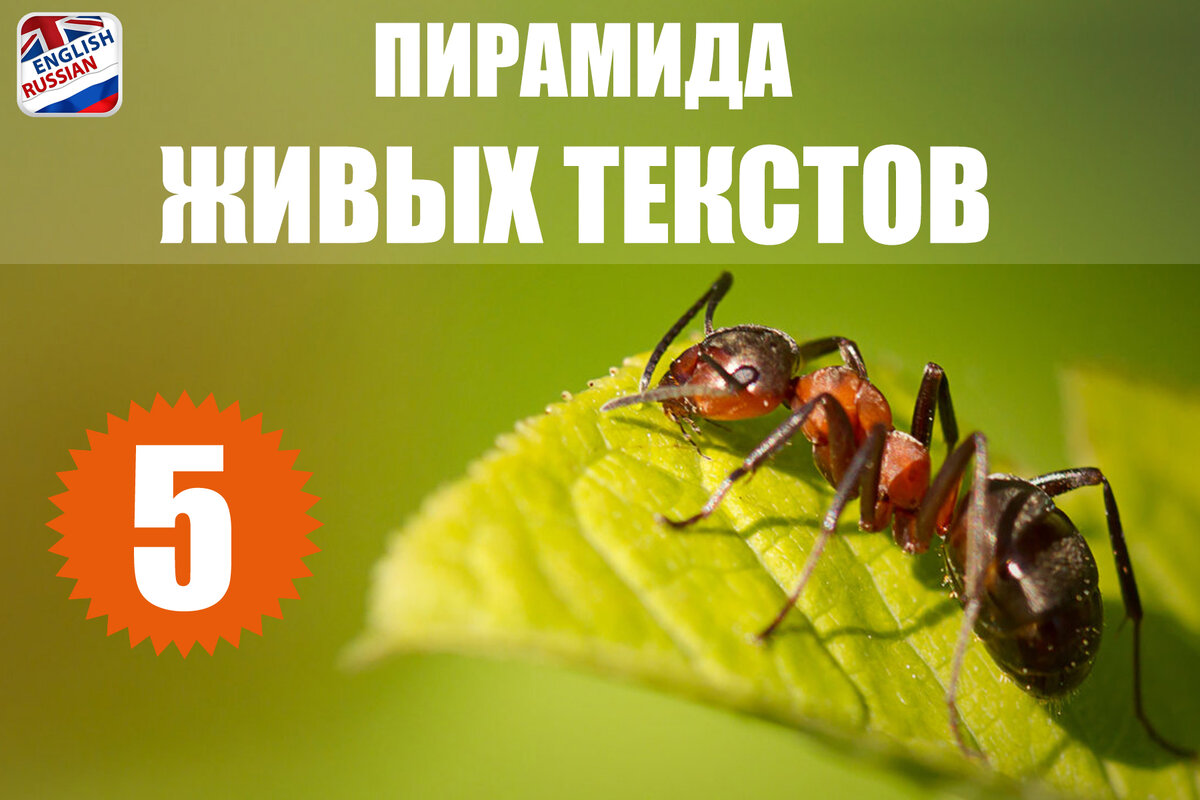 статьи для продвижения сайта