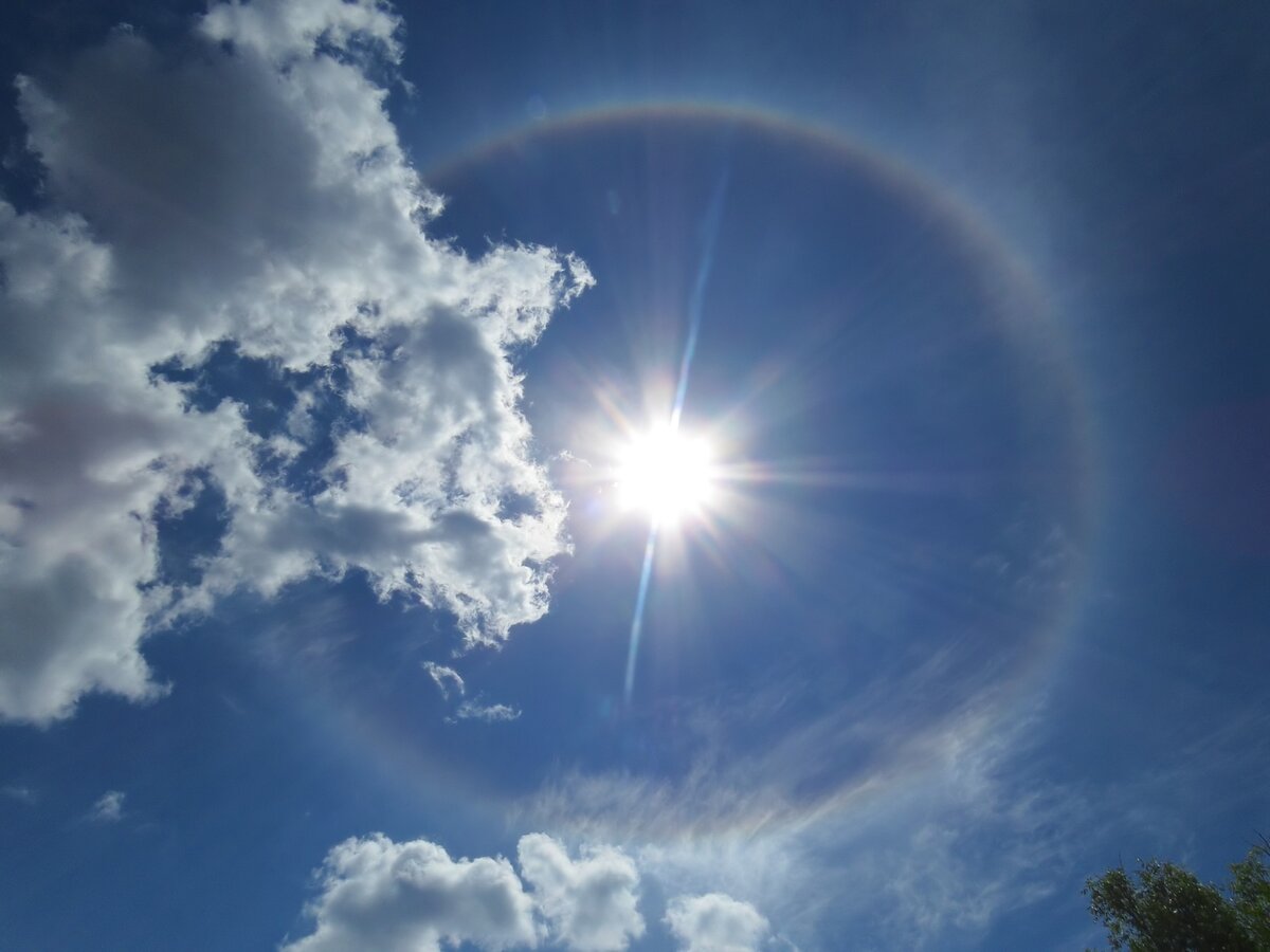 А эти Гало, которые с каждым днём начинают замечать в разных уголках Земли? С чего вдруг сейчас и в таком количестве?