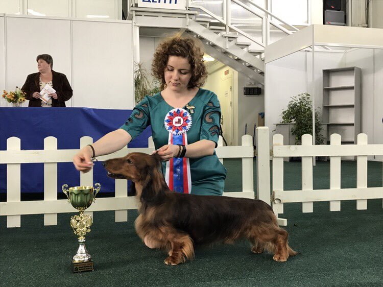 Хендлер Анастасия Ларионова