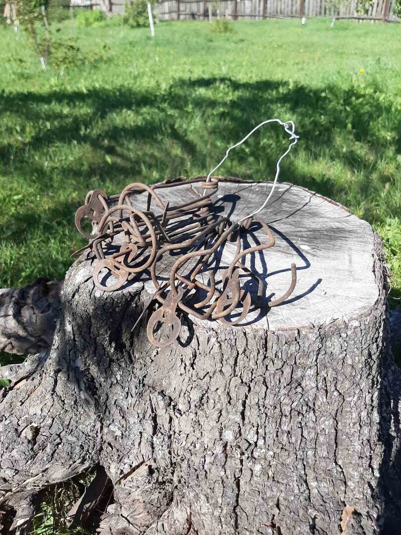 Кротоловки. Еще фото здесь--->