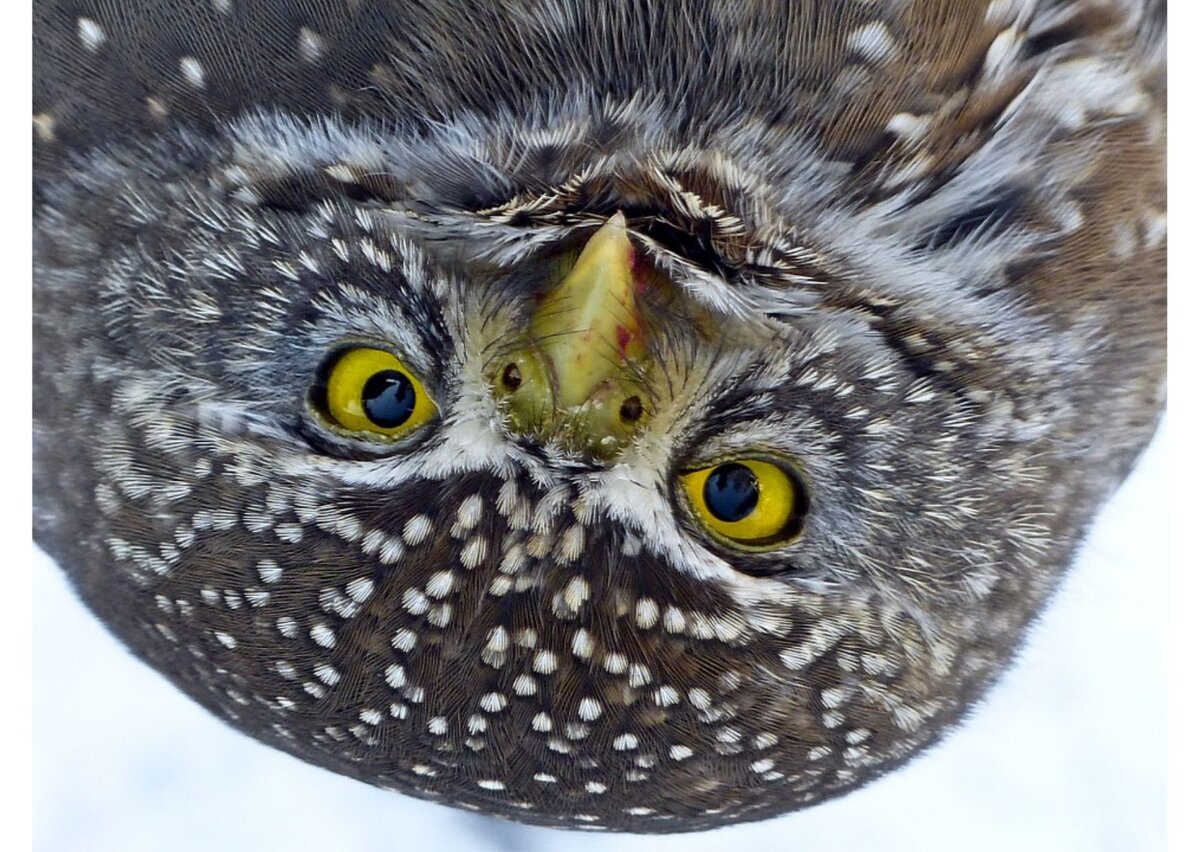 А вы в этом уверены? Несомненно!