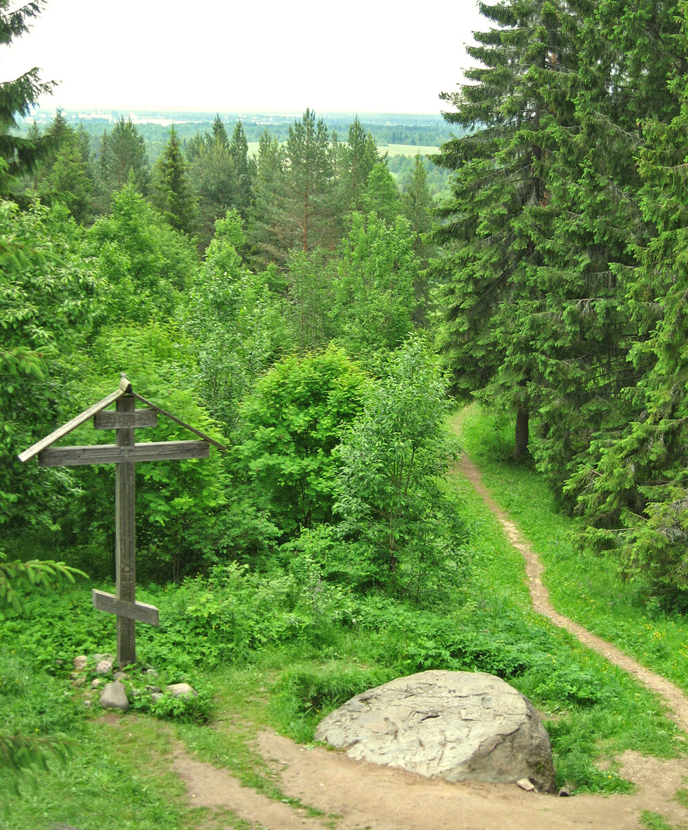 княжна гора демянский район