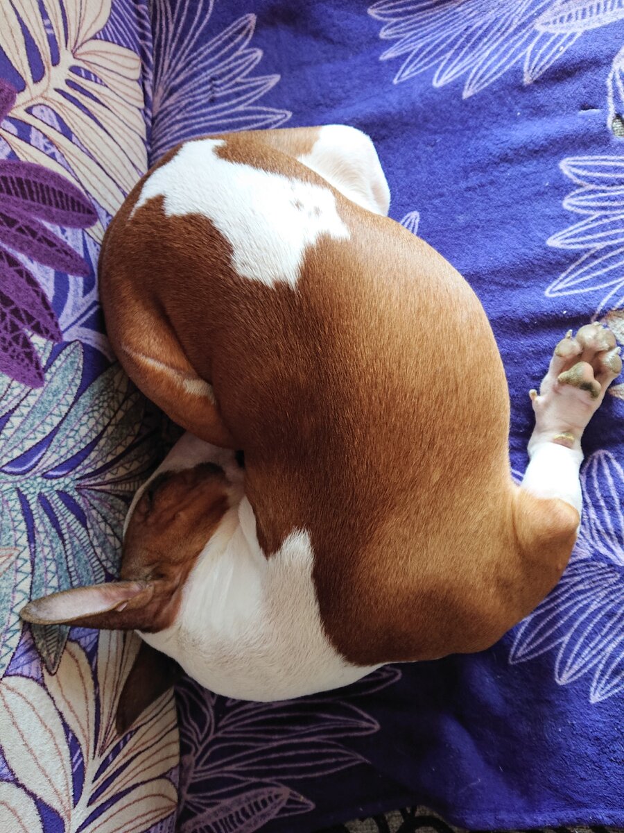 Да, она и так умеет))) 