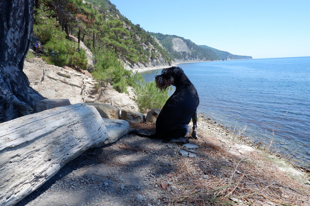 Шика уже опробовала морскую воду