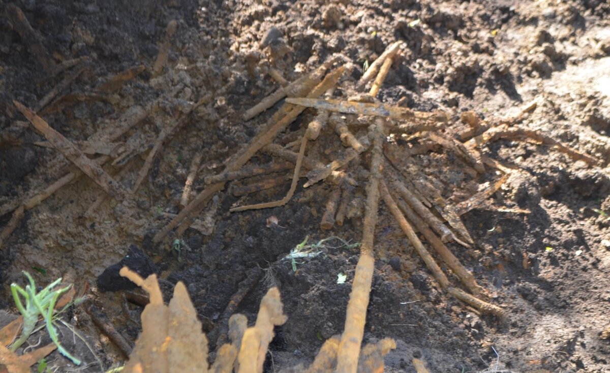 Оружие с места раскопок (фото с сайта администрации Зестафонского муниципалитета).