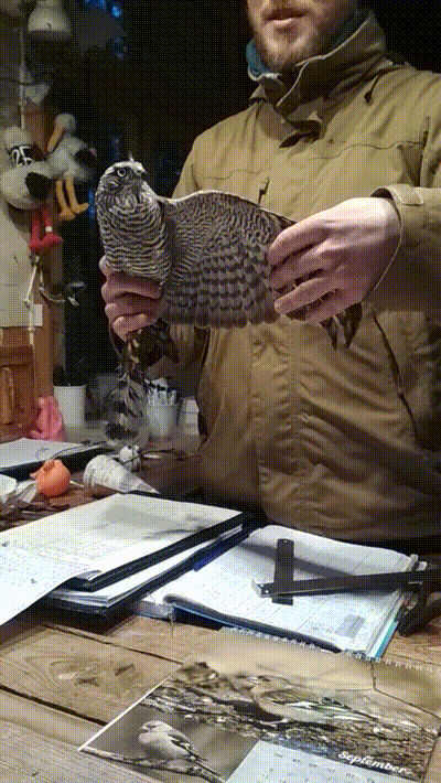 -19