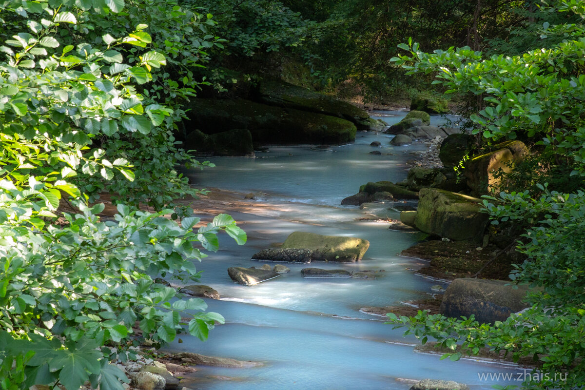 "Дикая Мацеста". Сочи