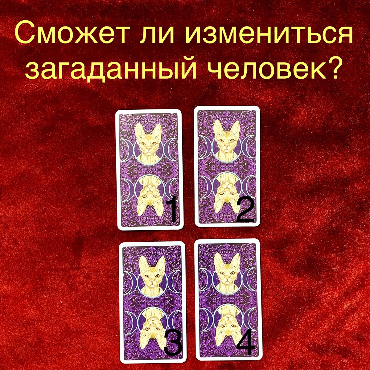 Выберите одну карту