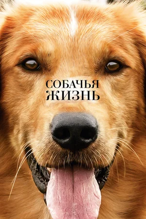 изображение с сайта kinopoisk.ru