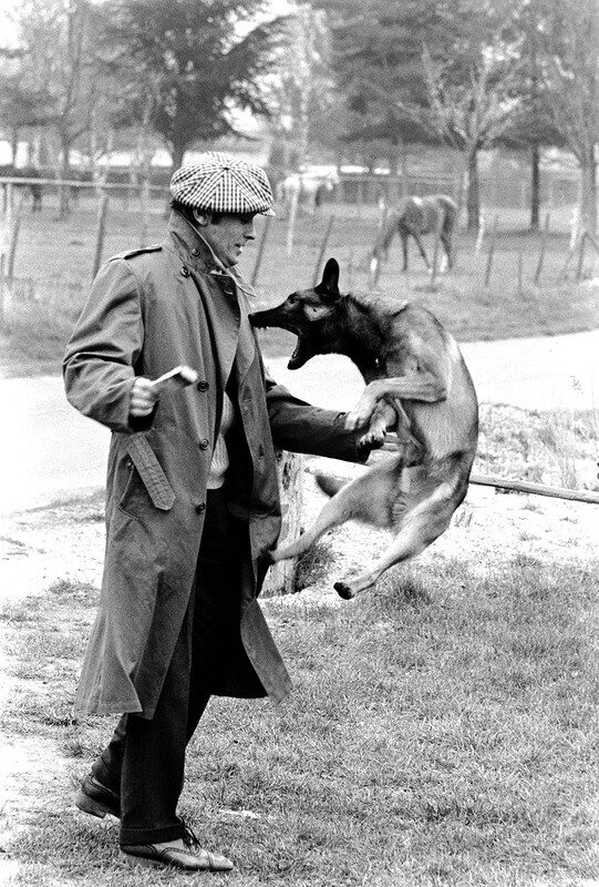 Неужели кусь?