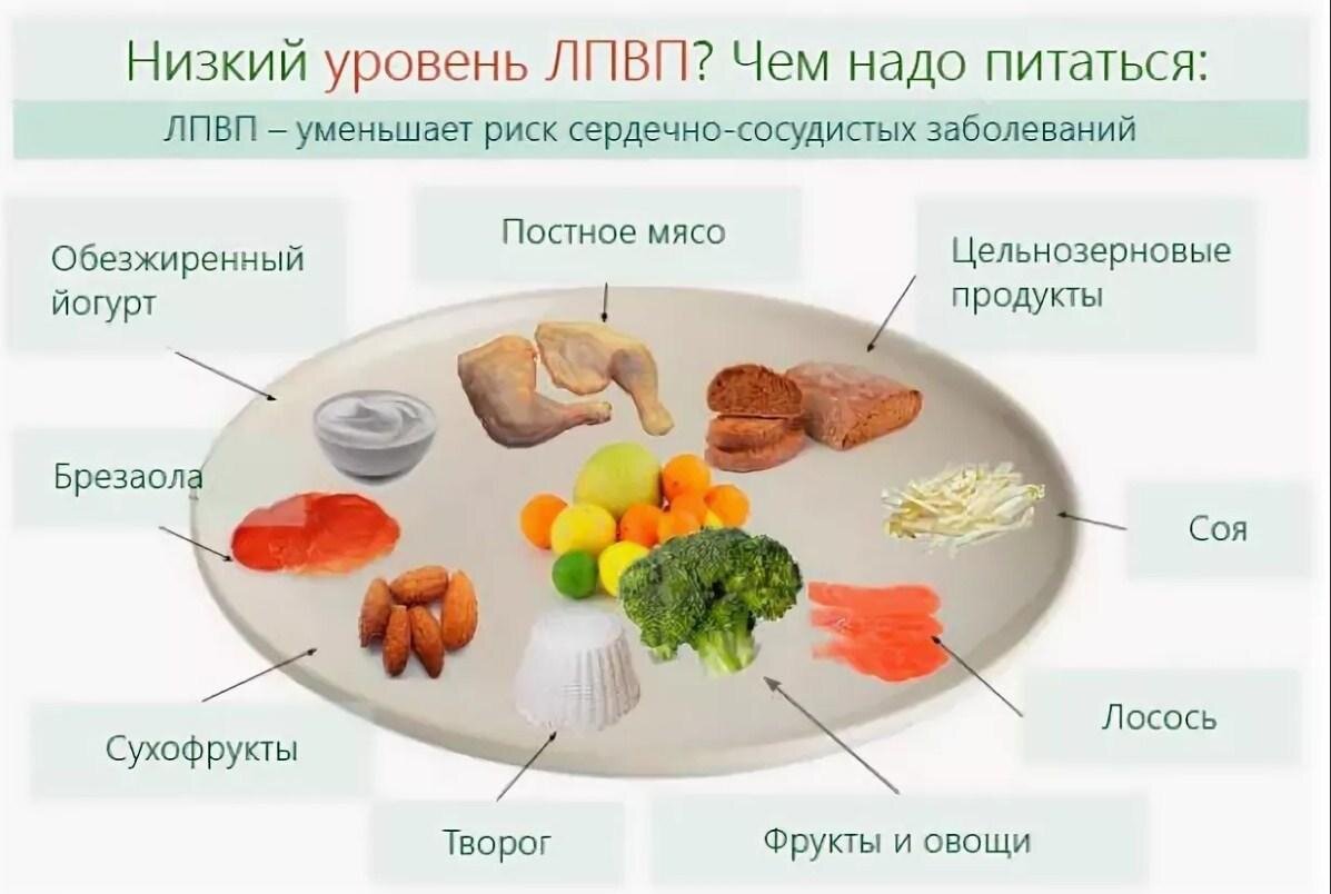 Как снизить холестерин без статинов — 7 продуктов, полезных для сердца и сосудов