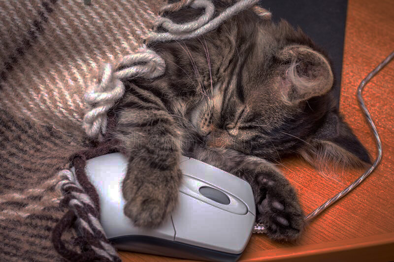 источник яндекс картинки