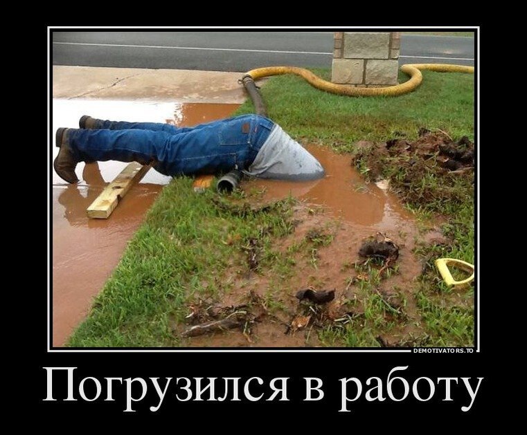 Источник Яндекс картинки 