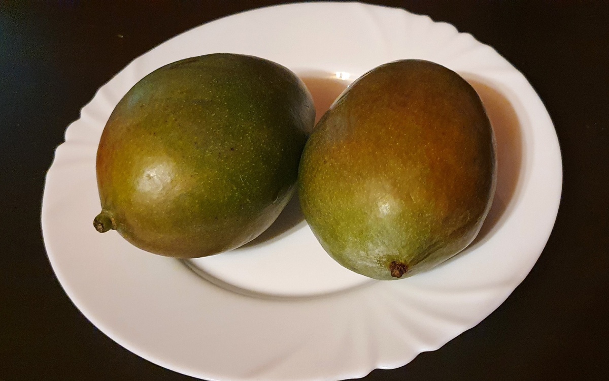 Два спелых плода манго. Фото автора