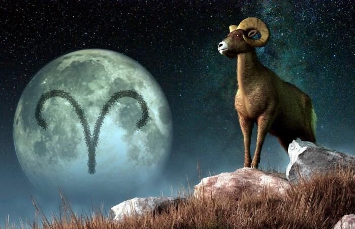 Фото из открытого источника 