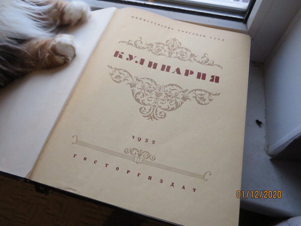 Без Муси ничего не обходится, даже поиск рецепта.