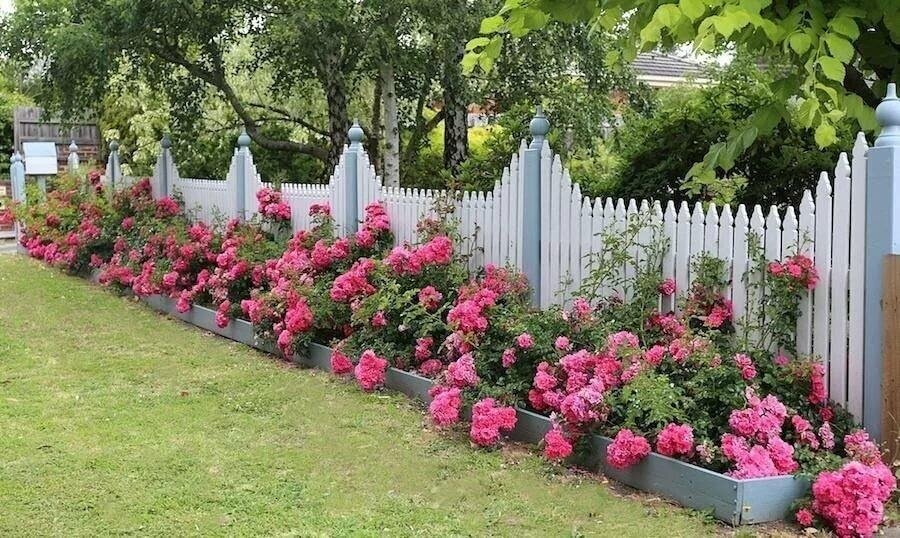 Декоративный забор садовый
