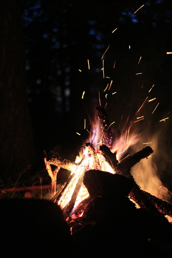 Яндекс картинки