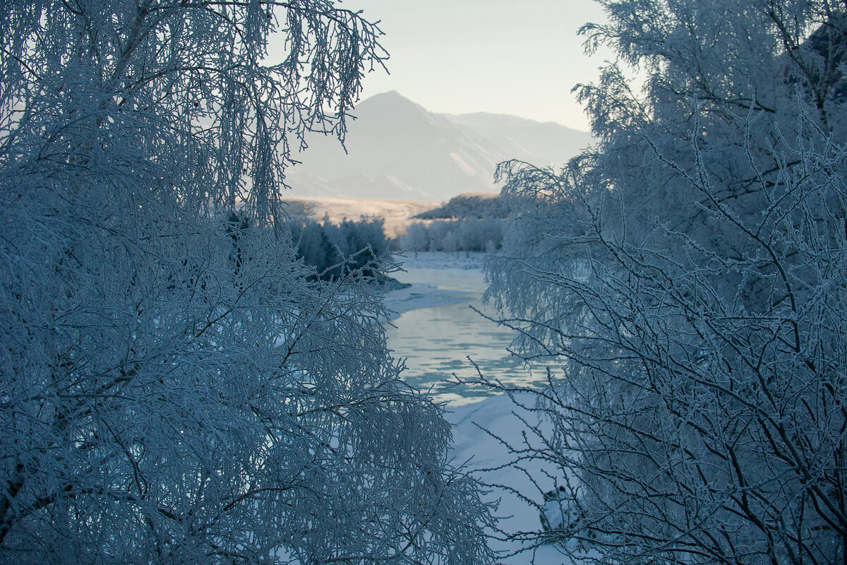 2. Зимние берега незамерзающей Катуни...