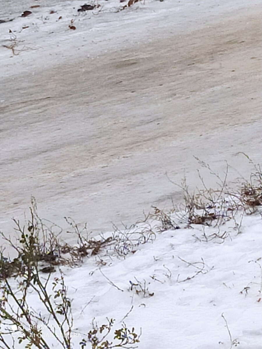 Сплошной лёд у меня на улице