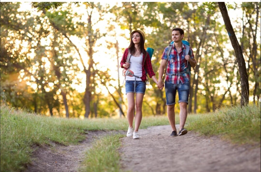 Источник Яндекс Картинки 