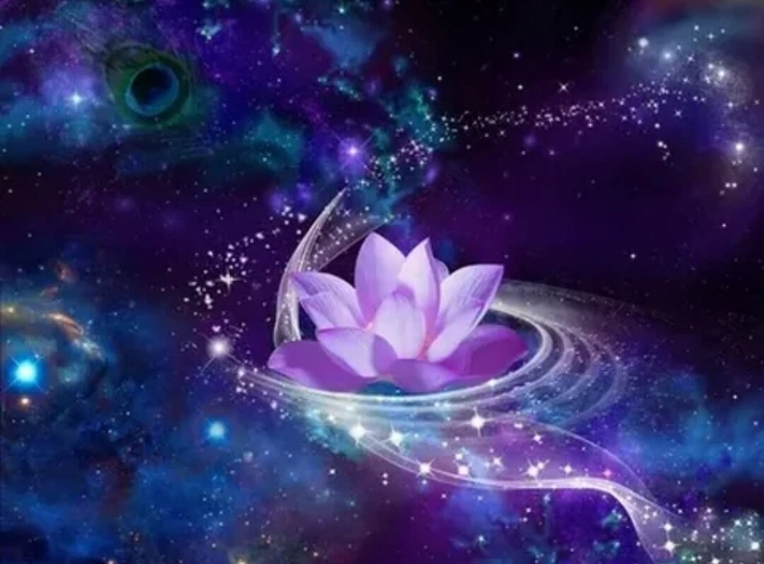 Фото из интернета