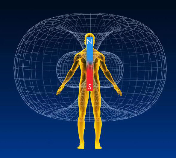Энергоструктура человека, большой и малый тор (иллюстрация из интернета)