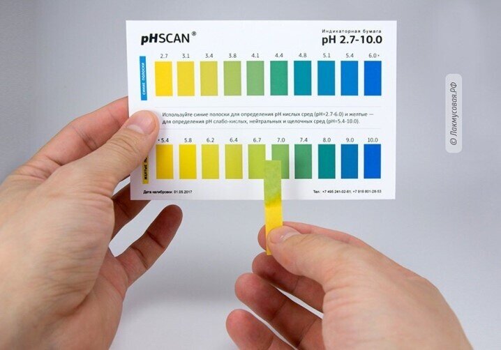 Высокая кислотность способствует интенсивному росту микрофлоры, патогенных организмов.
