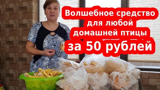 Волшебное средство для бройлеров и кур несушек