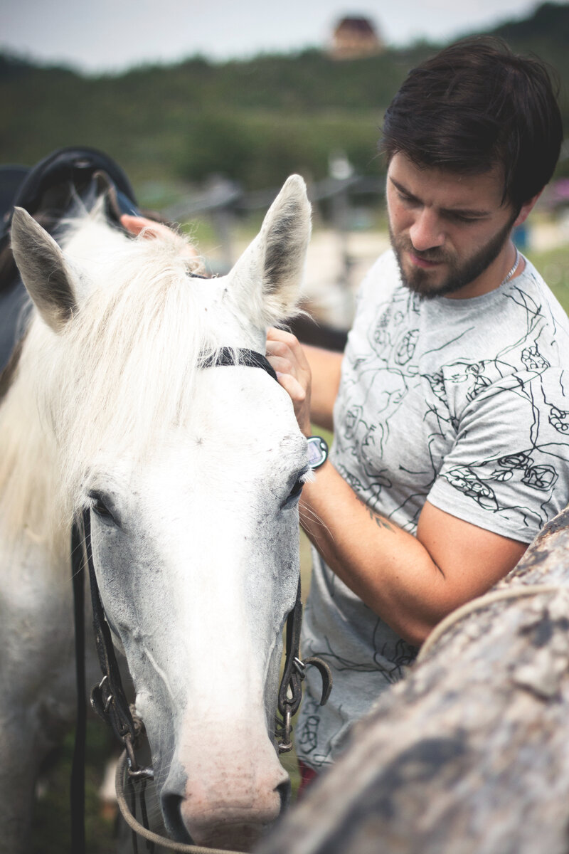 Говорят лошади успокаивают нервы