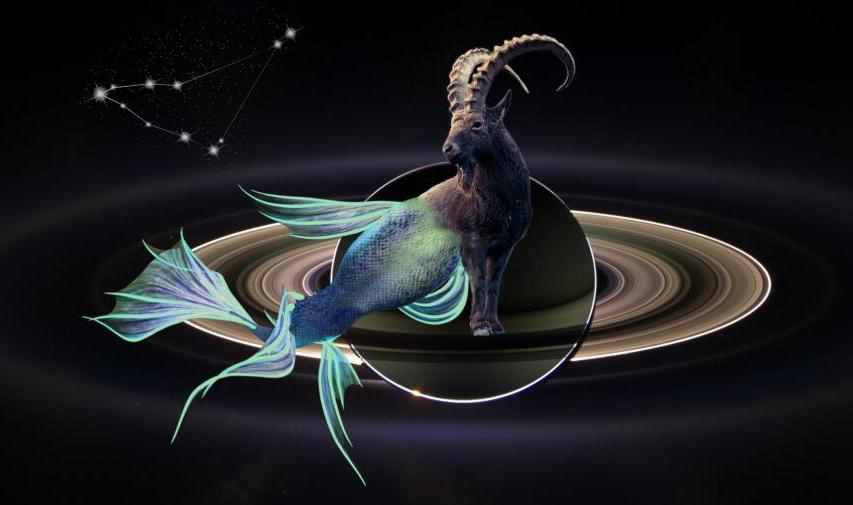 Фото с Яндекс картинок