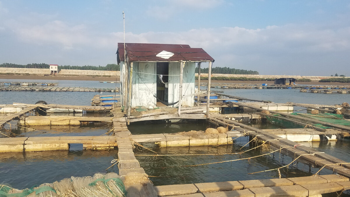 Рыбацкая деревня, залив Южно-Китайского моря