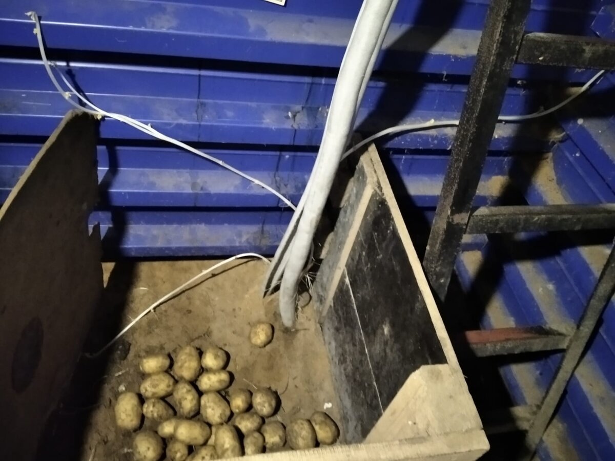 Хранение картофеля в гараже в зимний период