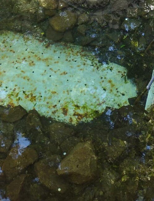 "Хохот ведьмы эхом пронёсся по всей горе"...